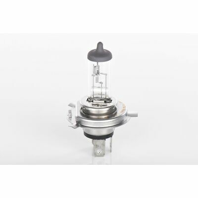 Trucklight Maxlife WS