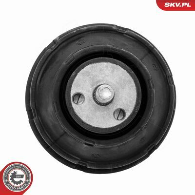 75SKV151