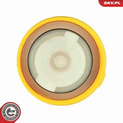 61SKV058