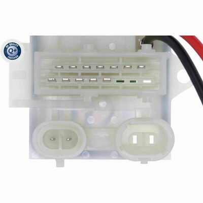 Q+,  Première Monte