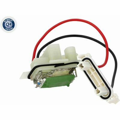 Q+,  Première Monte