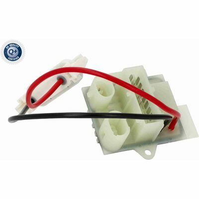 Q+,  Première Monte