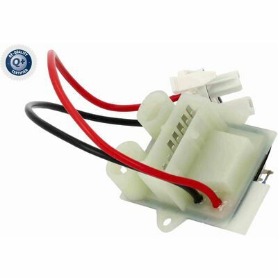 Q+,  Première Monte