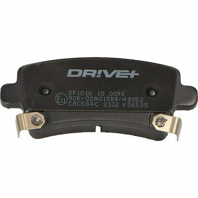 DP1010.10.0099