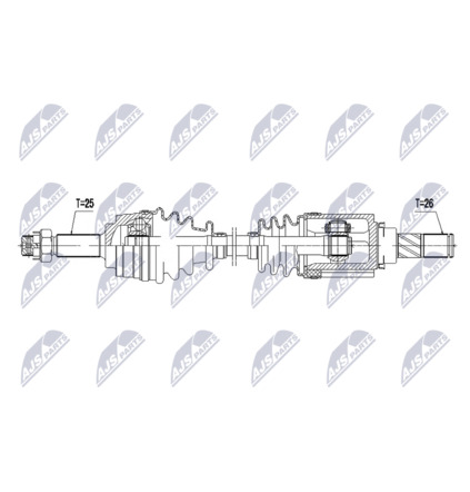 NPW-NS-209