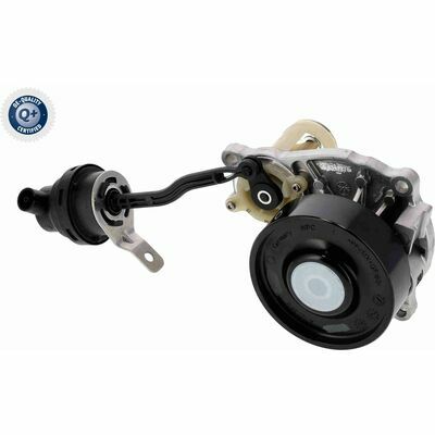 Q+ qualità di primo fornitore