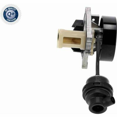 Q+ qualità di primo fornitore