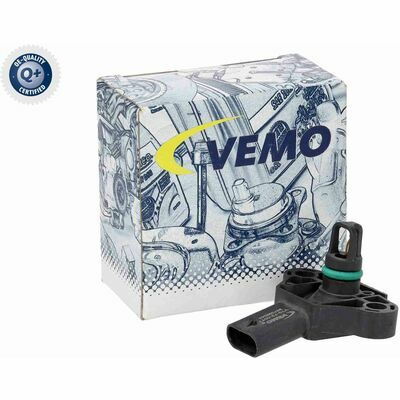 Q+,  Première Monte