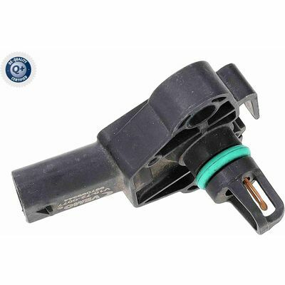 Q+,  Première Monte