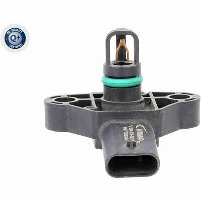 Q+,  Première Monte