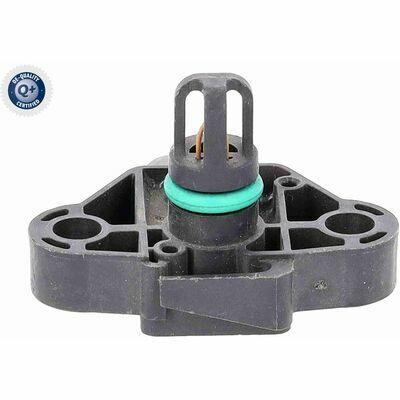 Q+,  Première Monte