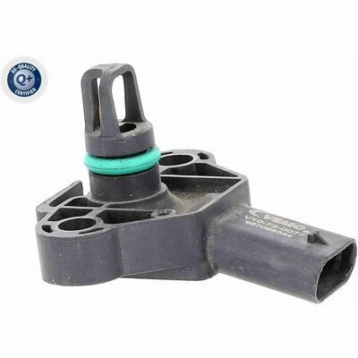 Q+,  Première Monte