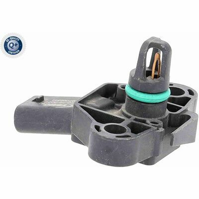 Q+,  Première Monte