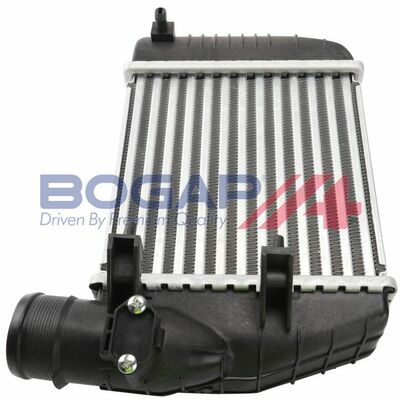BOGAP Premium