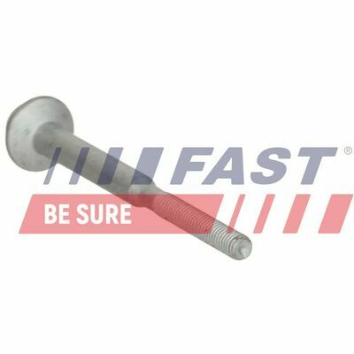 FT13099