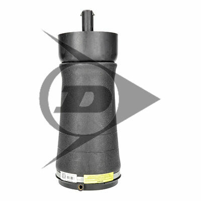Pièce de rechange d'origine Dunlop