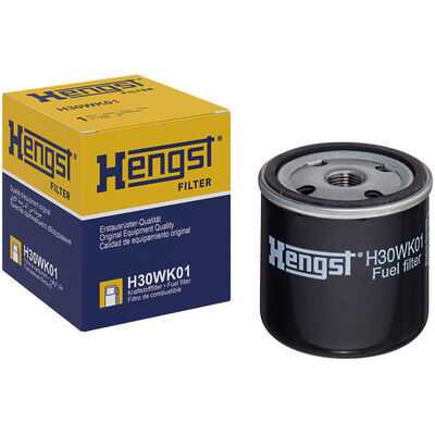 H30WK01