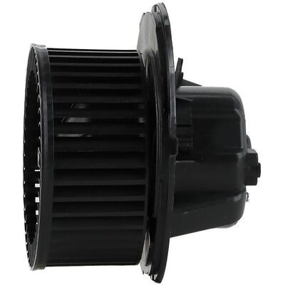 WBL01411