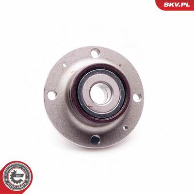29SKV093