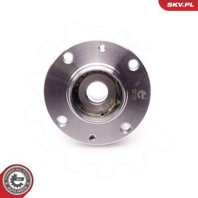 29SKV093