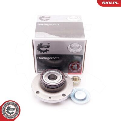 29SKV093