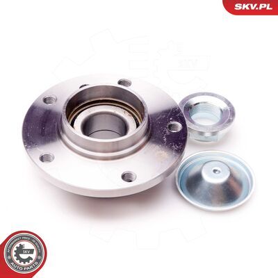 29SKV016