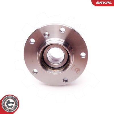 29SKV016