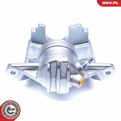 42SKV221
