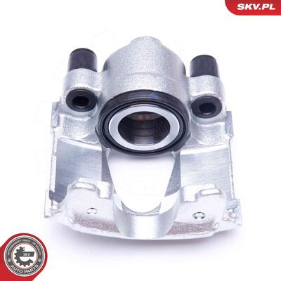 42SKV681