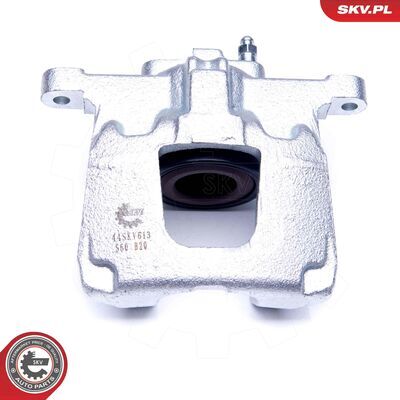 44SKV613