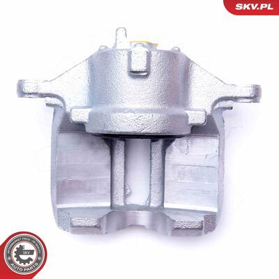 23SKV231