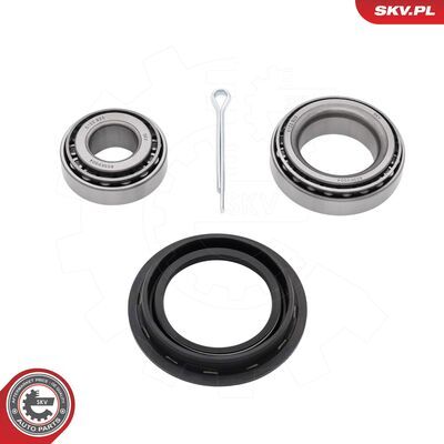 85SKV004