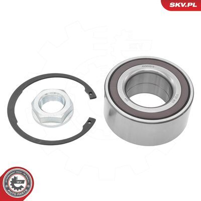 85SKV010