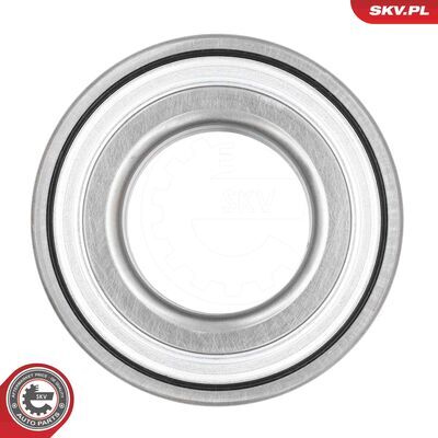 85SKV010