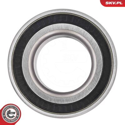 85SKV096