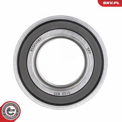 85SKV067