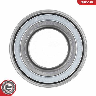 85SKV067