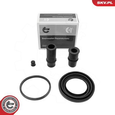91SKV216