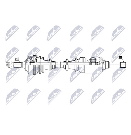 NPW-CT-191