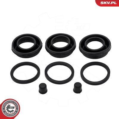 91SKV244