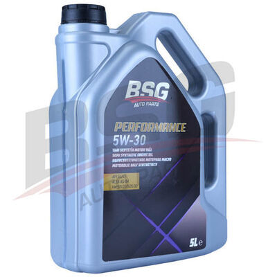 BSG 99-998-081