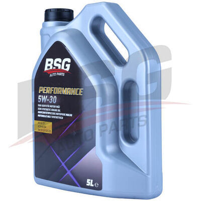 BSG 99-998-081