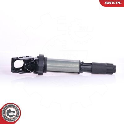 03SKV043