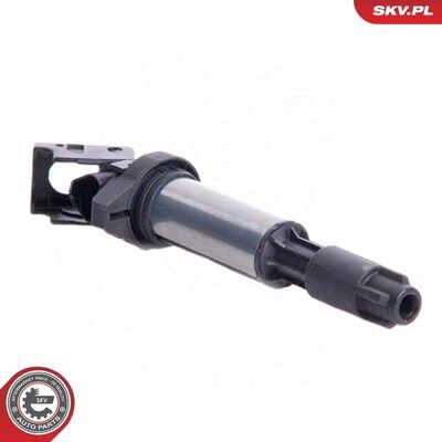 03SKV043