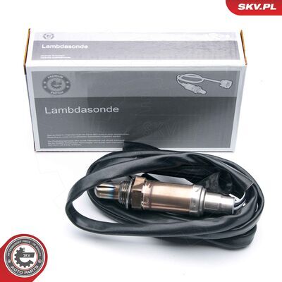 09SKV546