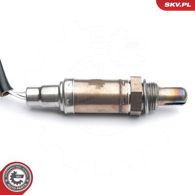 09SKV546