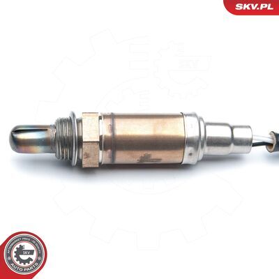 09SKV548