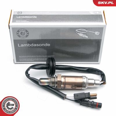 09SKV548