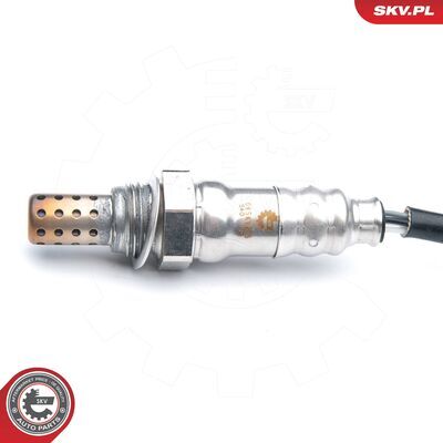 09SKV675