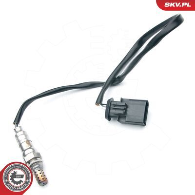 09SKV675